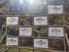 -徽园