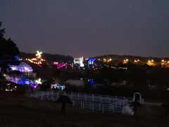 -大塘金香草谷