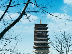 -牛首山文化旅游区