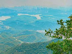 -阳台山森林公园