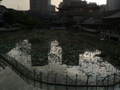 -龙潭水乡