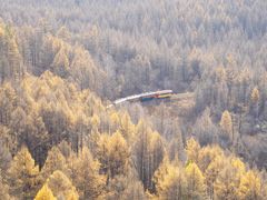 -莫尔道嘎国家森林公园