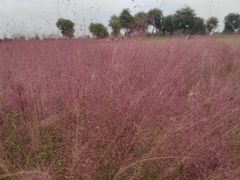 -汉长安城未央宫国家考古遗址公园