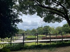 -河姆渡遗址博物馆