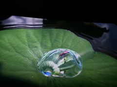 -星轶IMAX影城(桐乡吾悦广场旗舰店)