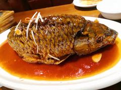 罾蹦鲤鱼-津菜宋记老房子(鼓楼店)
