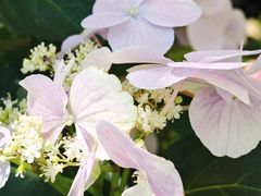 -常州古运河南大街文化旅游区-人民公园