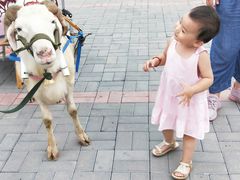 -梨木台悦来客农家院