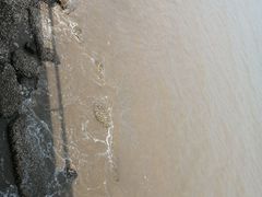 -东疆建设开发纪念公园