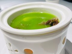 青麦汁鲍鱼-二十四单 淮扬新味