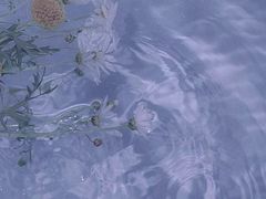 -蟹田居·活蟹料理(东城店)