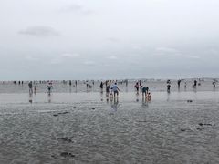 -南汇嘴观海公园