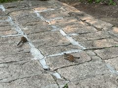 -五营国家森林公园