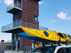 -春花秋色城市公园