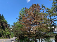 -白河堡水库