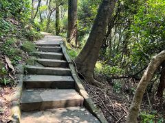 -火炉山森林公园