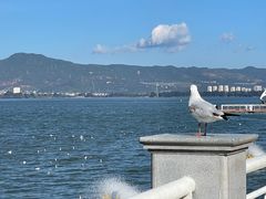 -海埂大坝