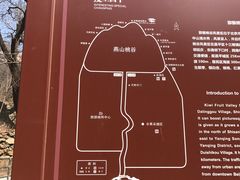 -大岭沟猕猴桃谷风景区