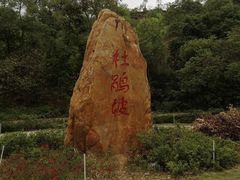 -东莞植物园