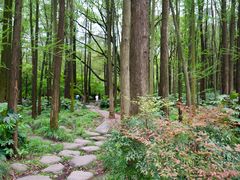 -上海共青森林公园