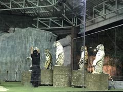 -清迈夜间动物园