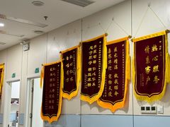-中农国际动物医院24小时·猫科·骨科·急重症中心