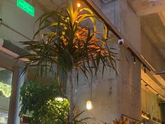 -Blac+Blac(中海环宇荟店)