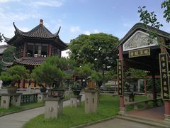 -碧江金楼