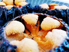 -蚝堡海鲜·威海菜·海肠捞饭·烧烤·亚洲吃蚝公司(幸福门店)