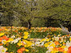 -名花谷生态庄园