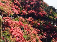 -木兰云雾山