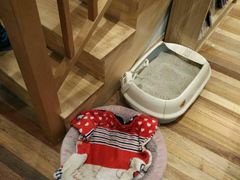 -猫的天空之城概念书店(杭州南宋御街店)