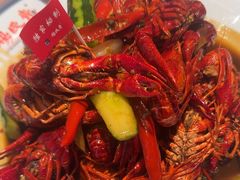 -杨氏青龙虾·羊蝎子(托乐嘉店)