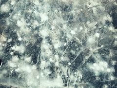 -丁香湖公园