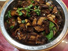 -田园小观园(武大店)