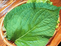 苏子叶-高基五春川炒鸡排 韩国料理(威海总店)