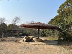 -宁波野生动物园
