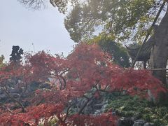 -五峰园