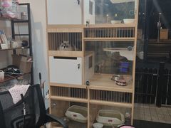 -1013 PET SHOP精品宠物商店(丁香店)