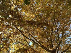 -红黄蓝幼儿园(颐东苑店)