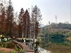 -重庆彩云湖湿地公园