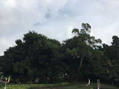 -胡里山炮台