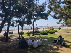 -日照灯塔风景区