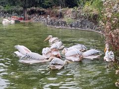 -云南野生动物园