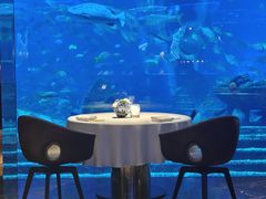 -亚特兰蒂斯•OSSIANO奥西亚诺海底餐厅