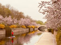 -海棠花溪(元大都城垣遗址公园)