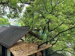 -巴倒烫陆派火锅山庄(南山总店)