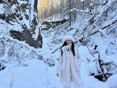 -峡谷浮石林景区