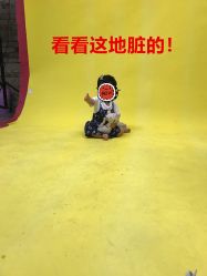 点击看大图 -YUEYAR PHOTO摄影