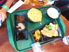 海南鸡饭-雨林餐厅(长隆海洋王国店)